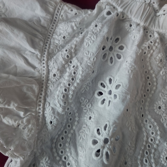 Bailey 44 White Eyelet Crop Top. Size US XL. Excellent preowned condition. - Picture 3 of 8